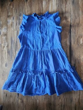 Caslon Blue Ruffled Cotton Dress XL